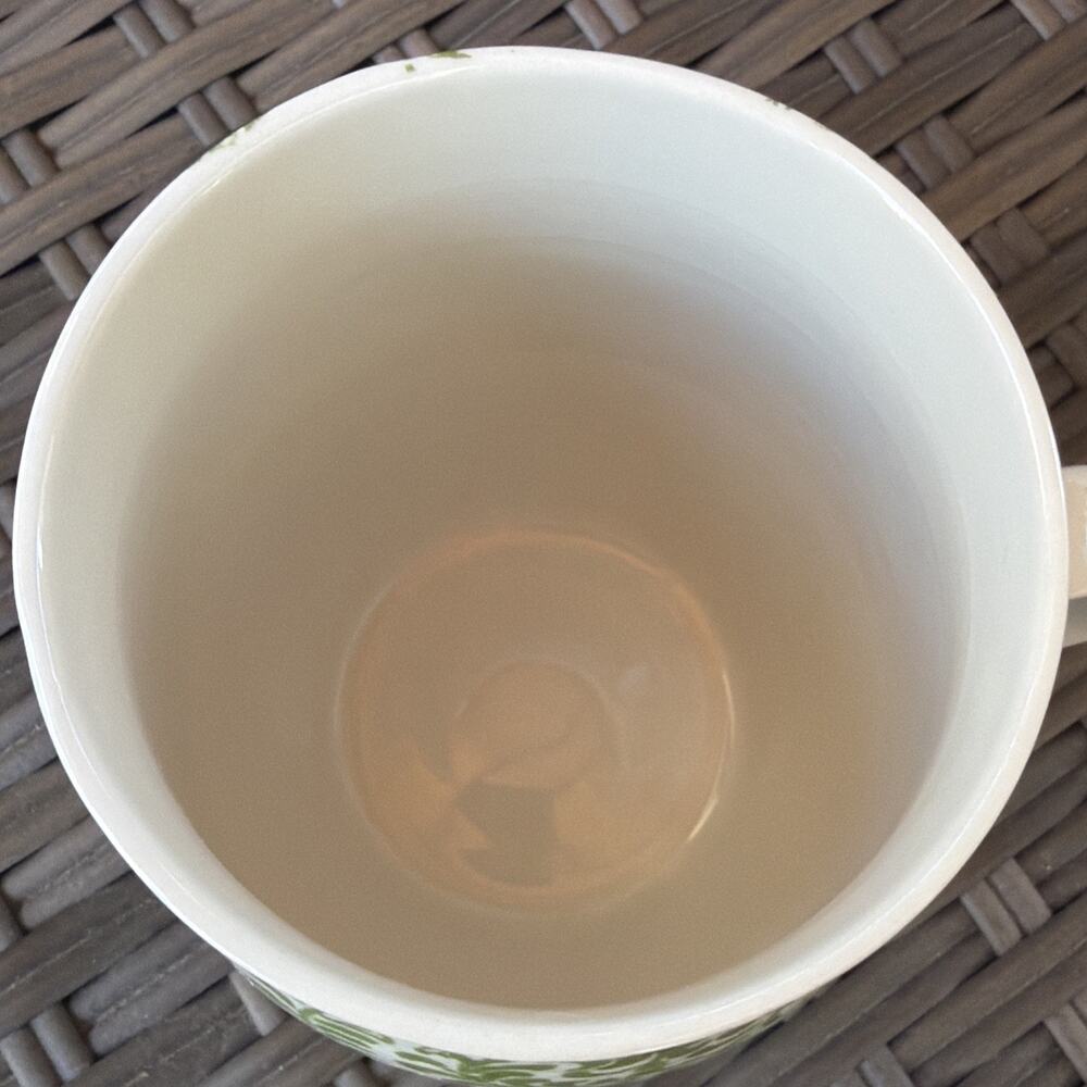 ANTHROPOLOGIE Monogram Initial "N" Coffee Tea Cup Mug HOMEGROWN Green Floral - Picture 4 of 10